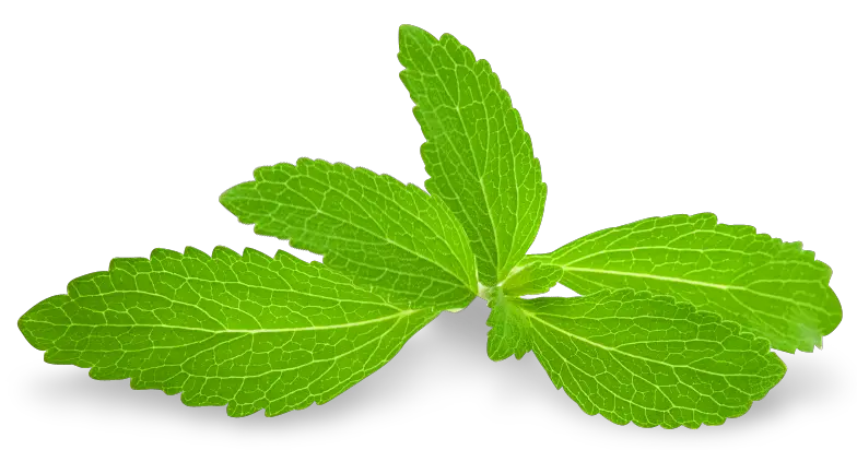 Pepermint PNG