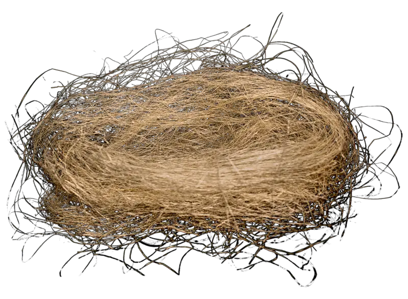 Nest PNG