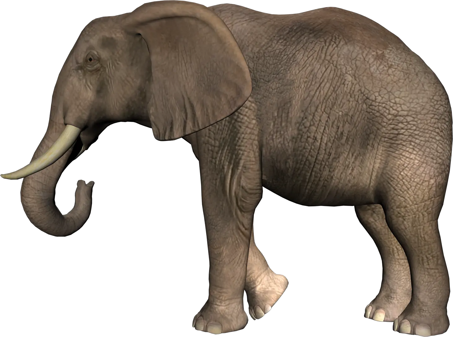 Elephant PNG