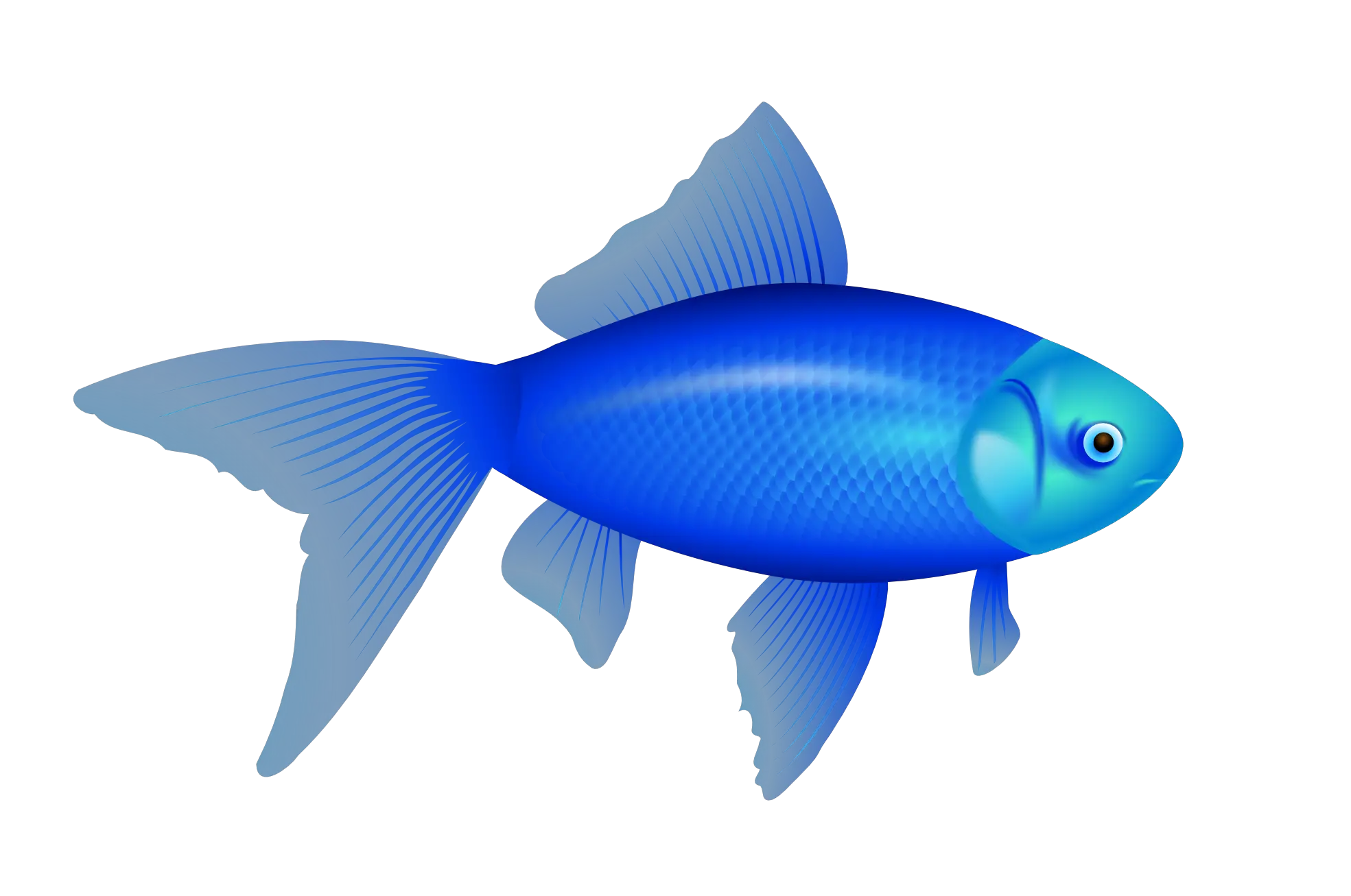 blue fish PNG image