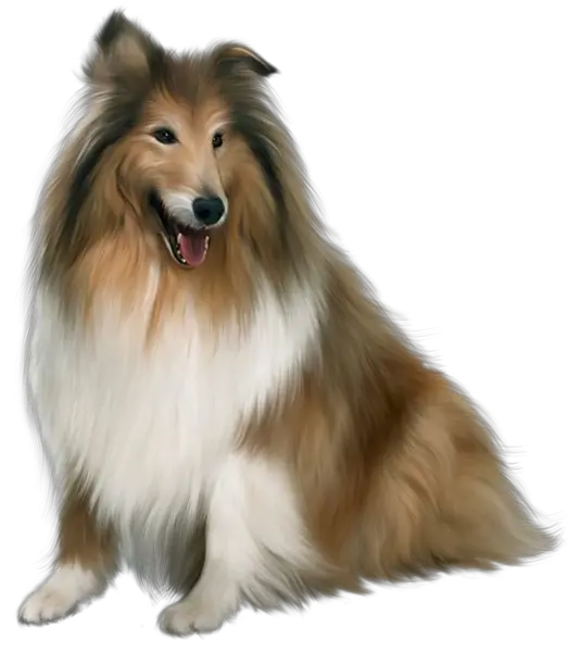 Dog PNG