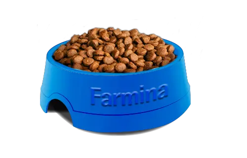 Dog food PNG