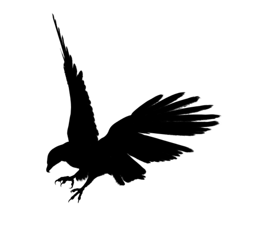 Eagle black siluet PNG image free download