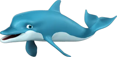 Dolphin PNG