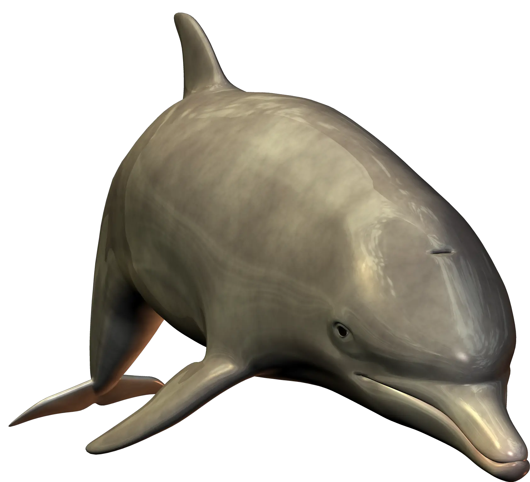 Dolphin PNG image