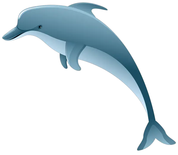 Dolphin PNG