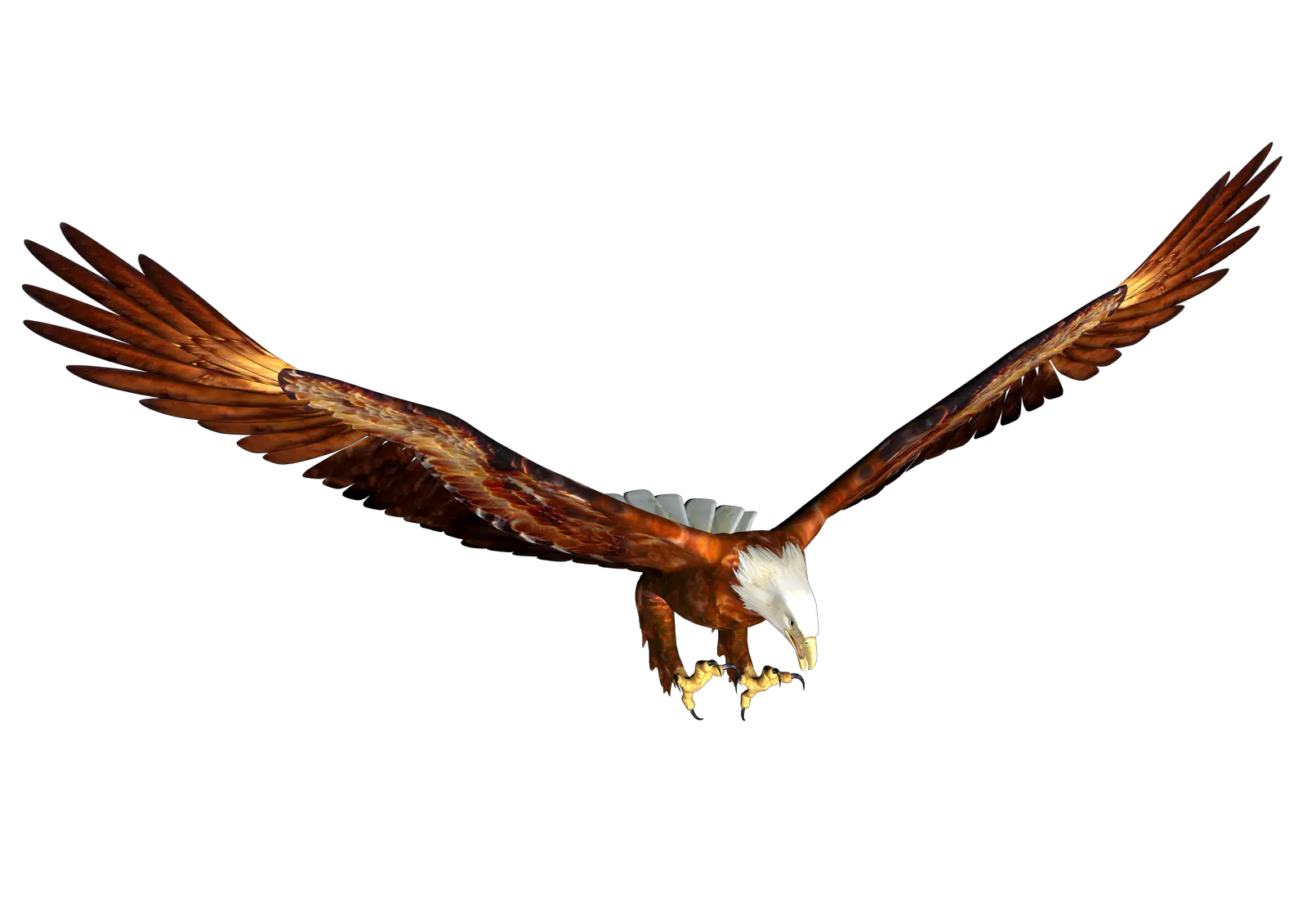 Eagle PNG image free download