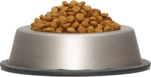Dog food PNG