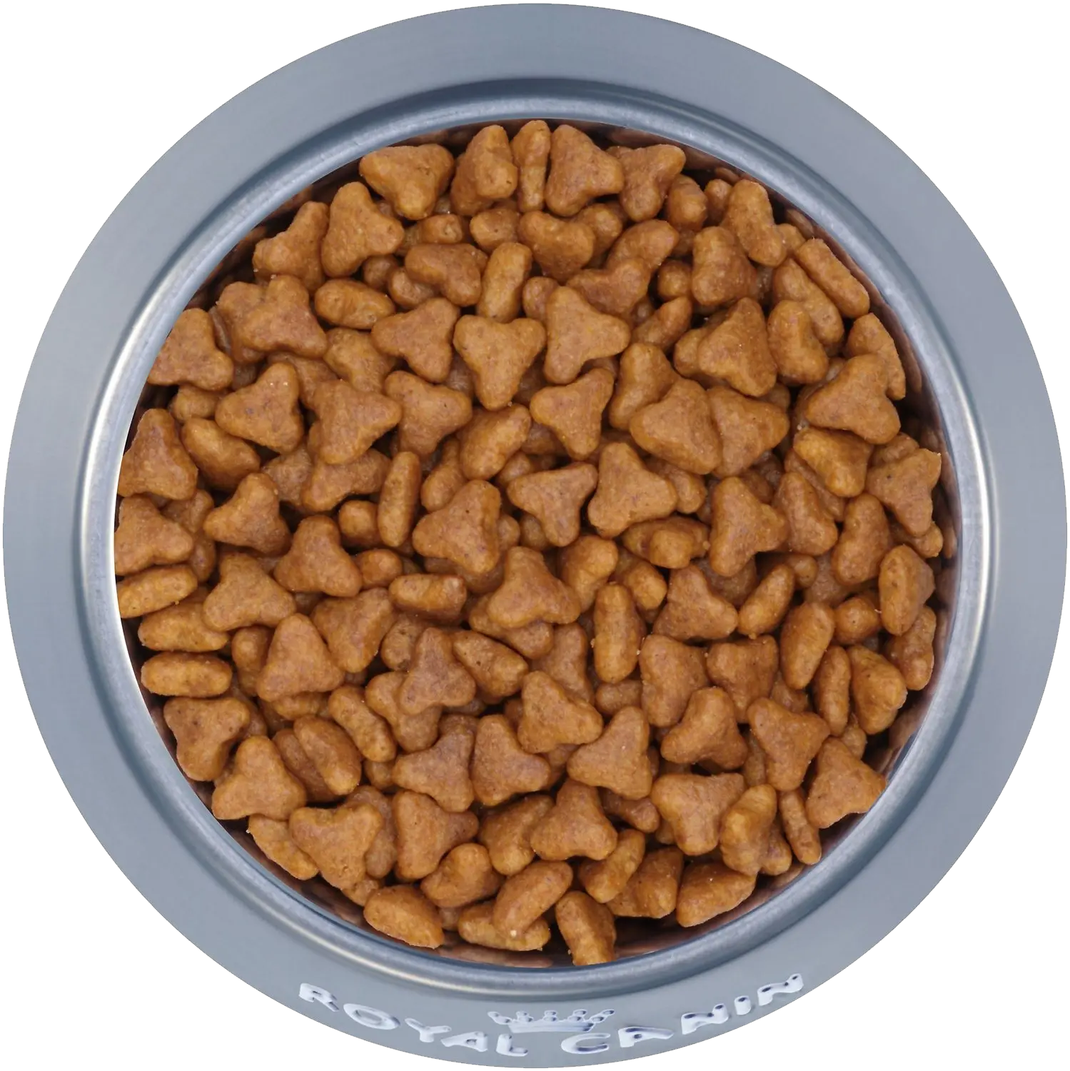 Dog food PNG