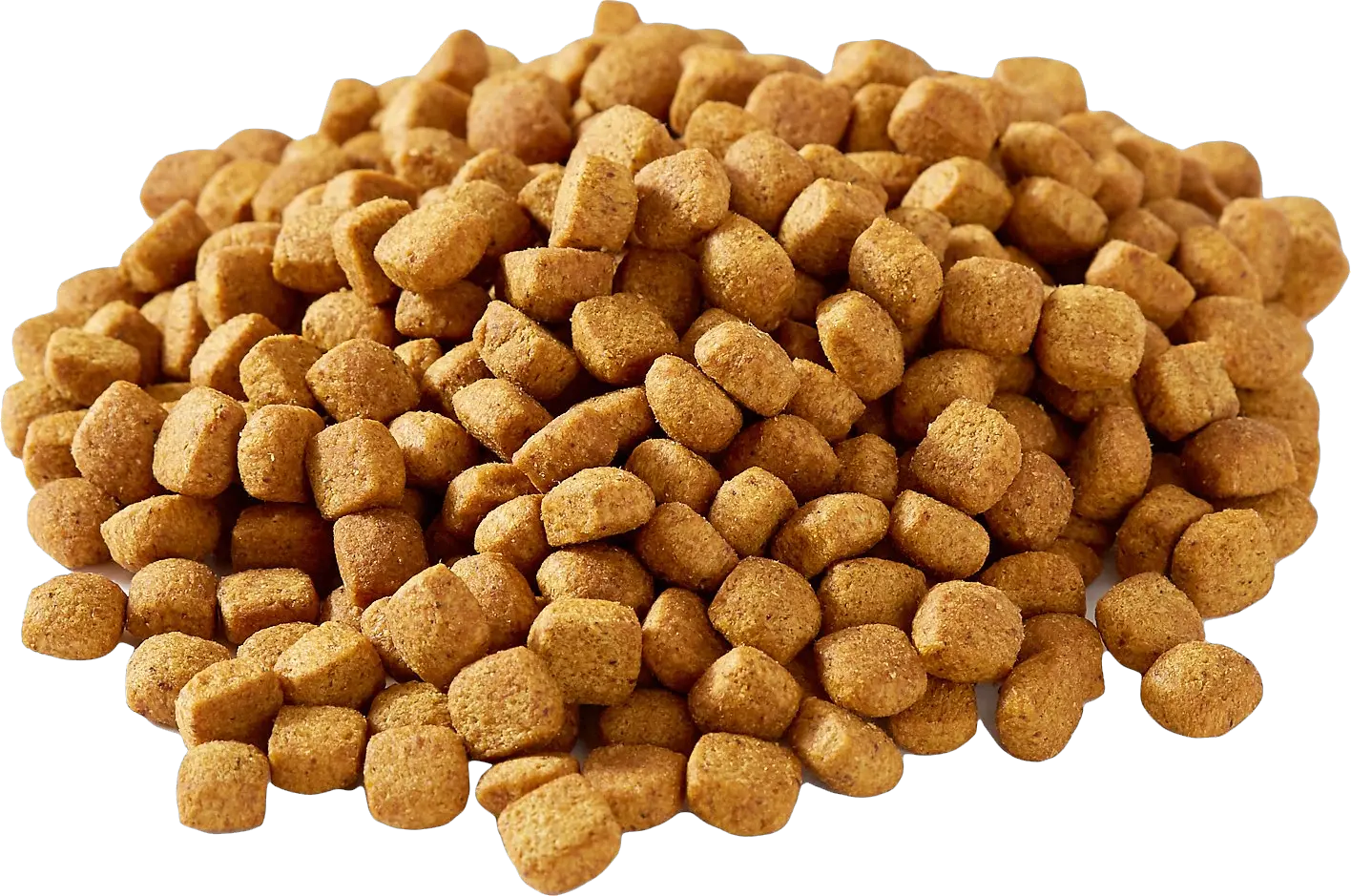Dog food PNG