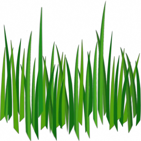 grass png image green grass PNG picture