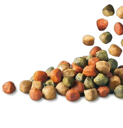 Dog food PNG