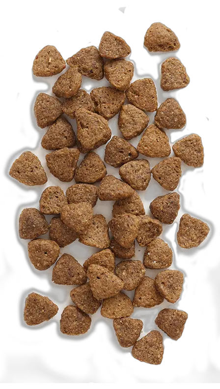 Dog food PNG