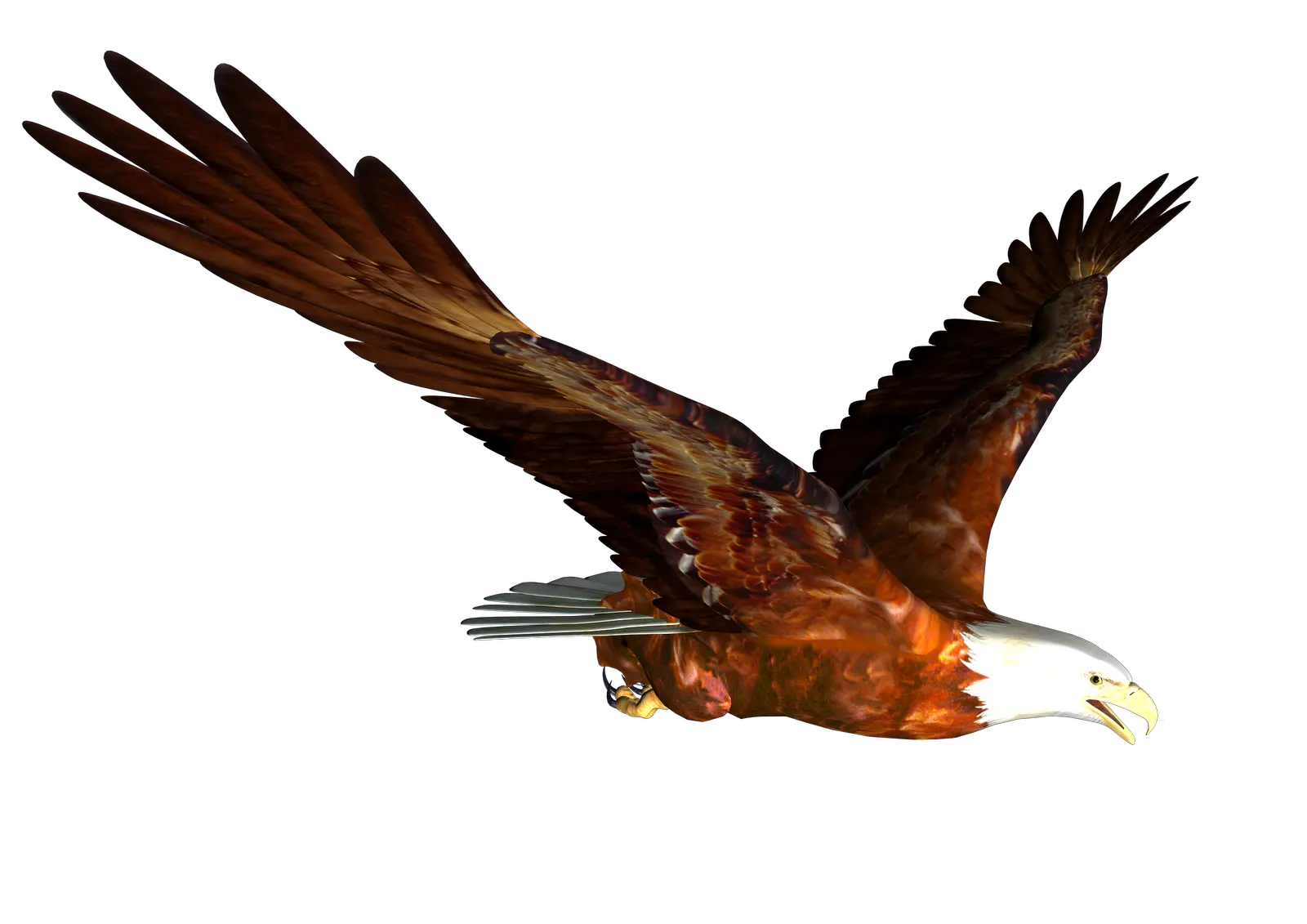 flying eagle PNG image free download