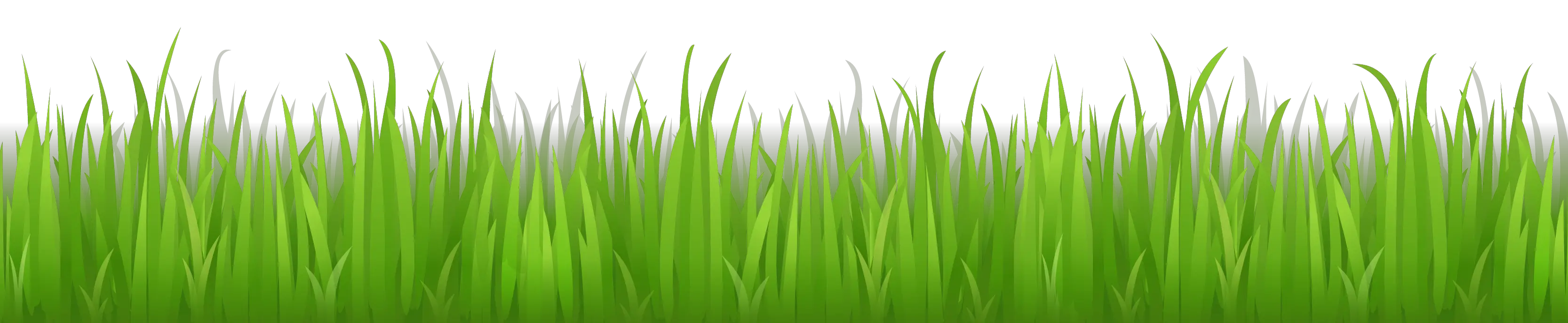 grass png image green picture