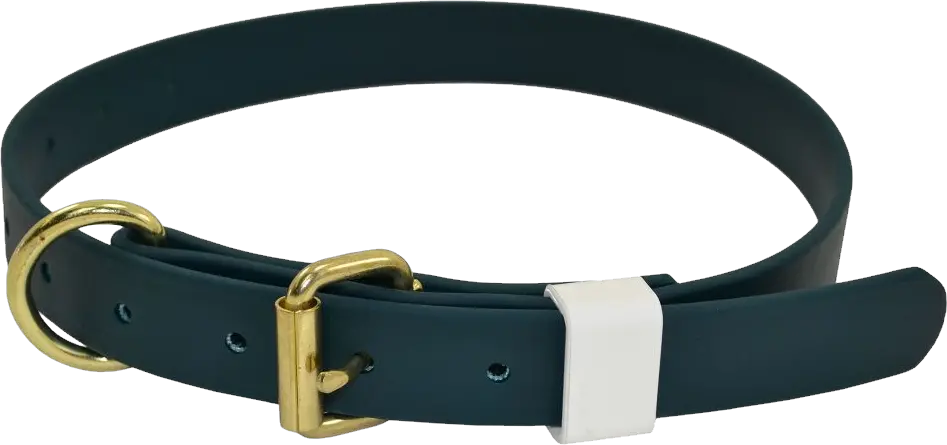 Dog collar PNG