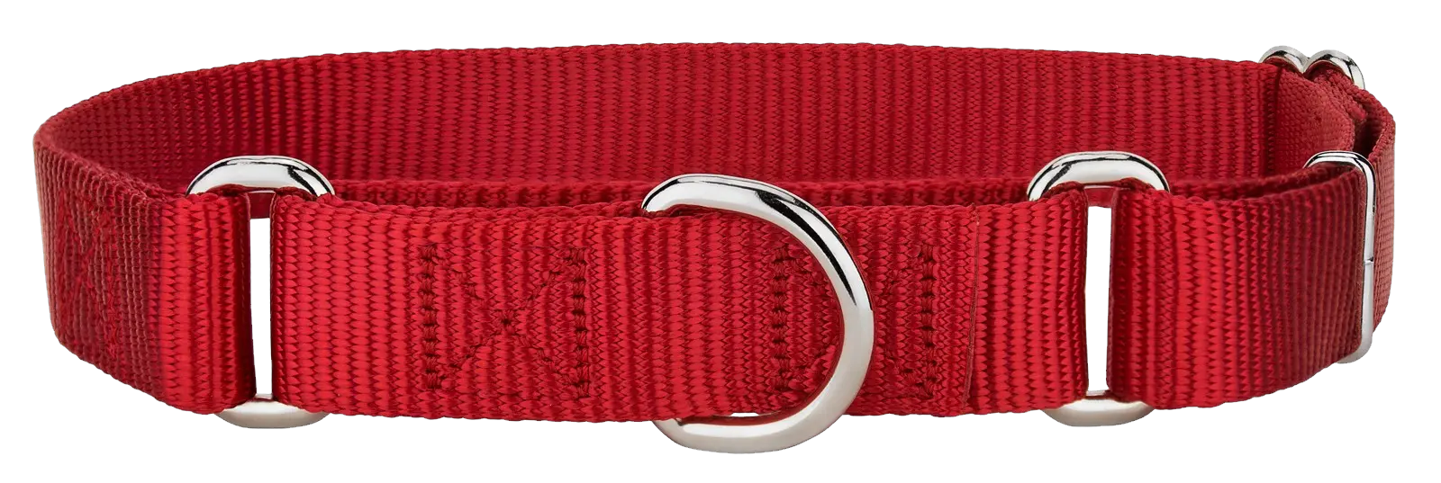 Dog collar PNG