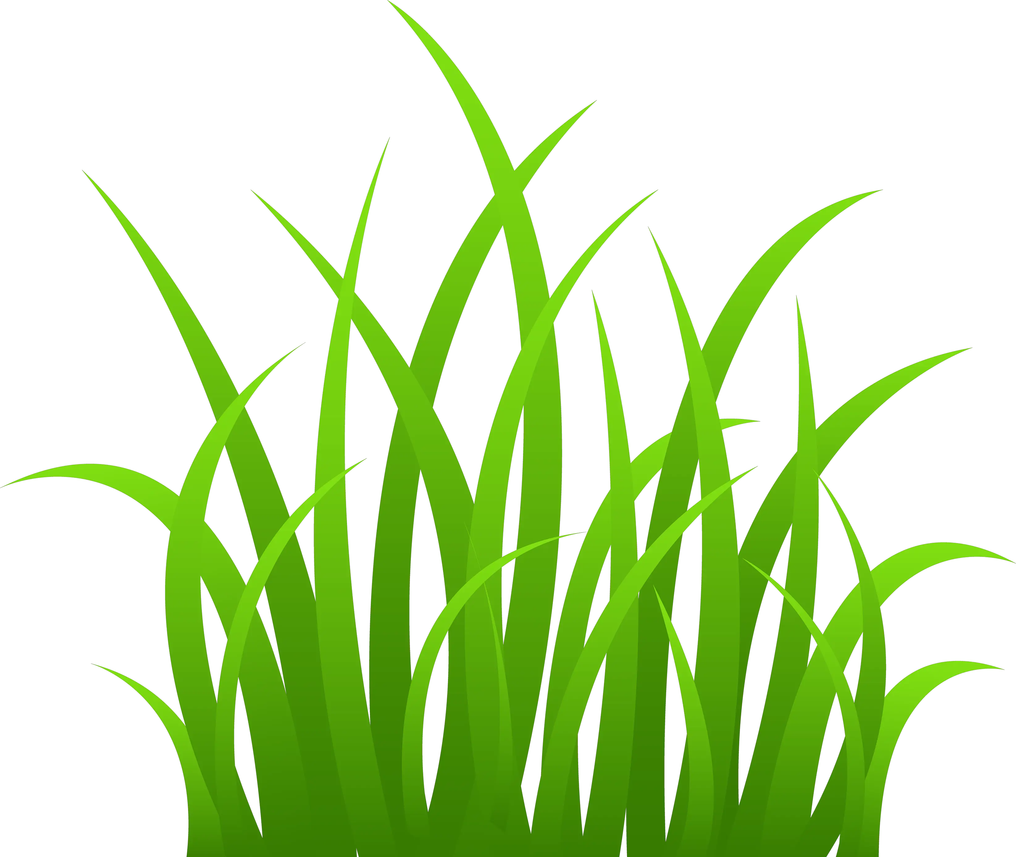 grass png image green grass PNG picture