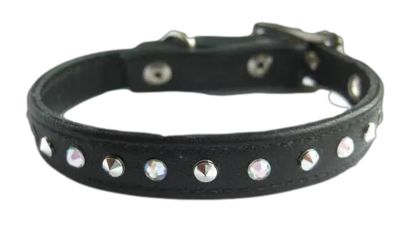 Dog collar PNG
