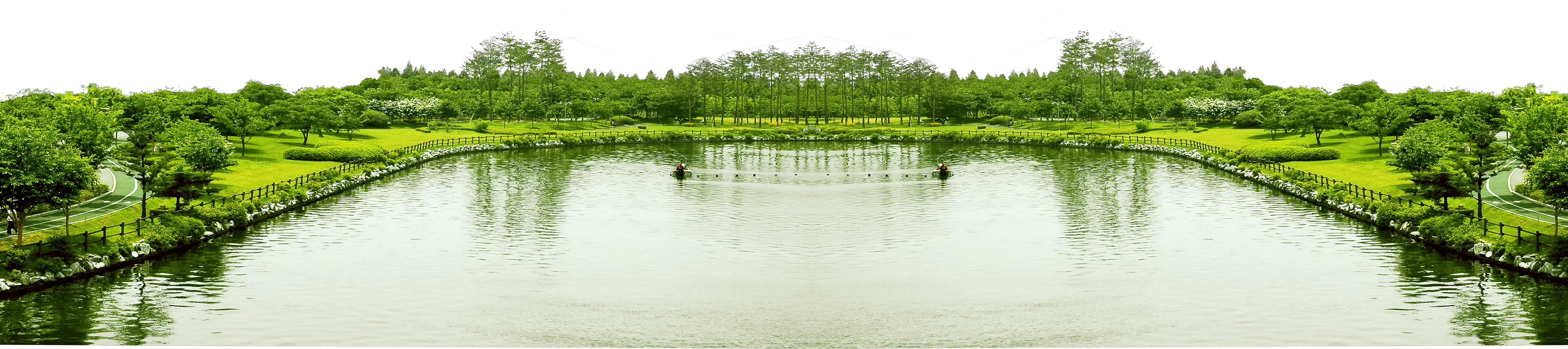 Forest PNG