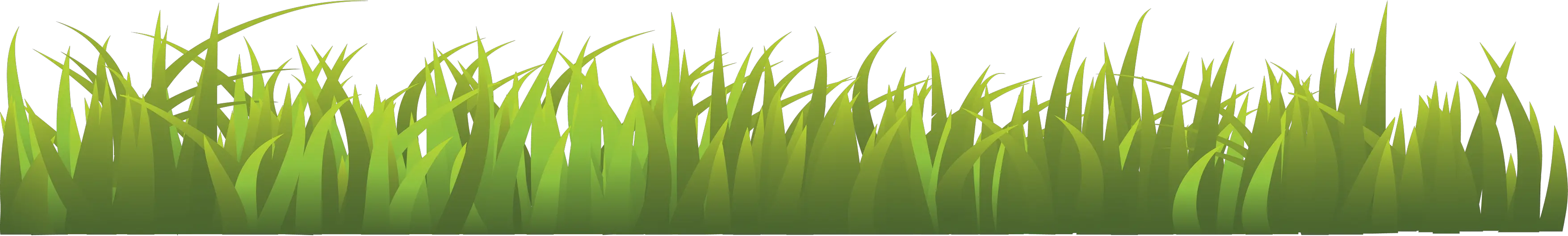 grass png image green grass PNG picture