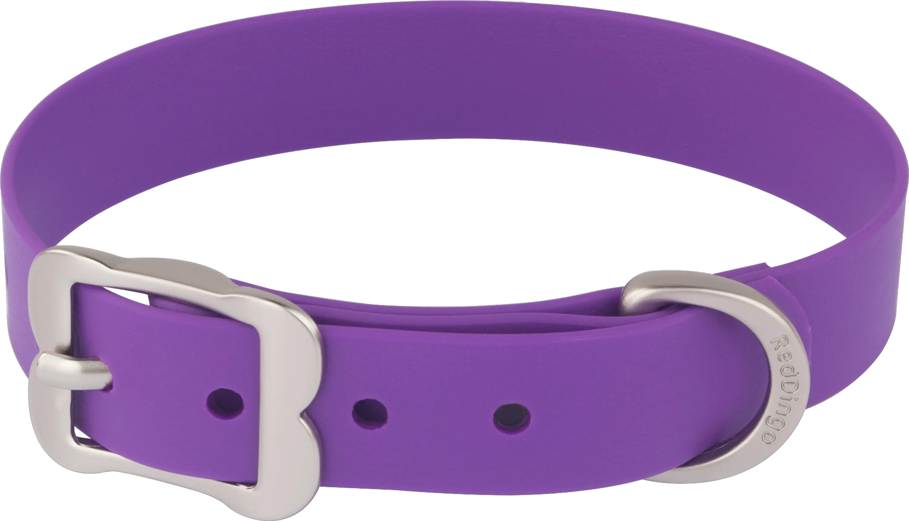 Dog collar PNG