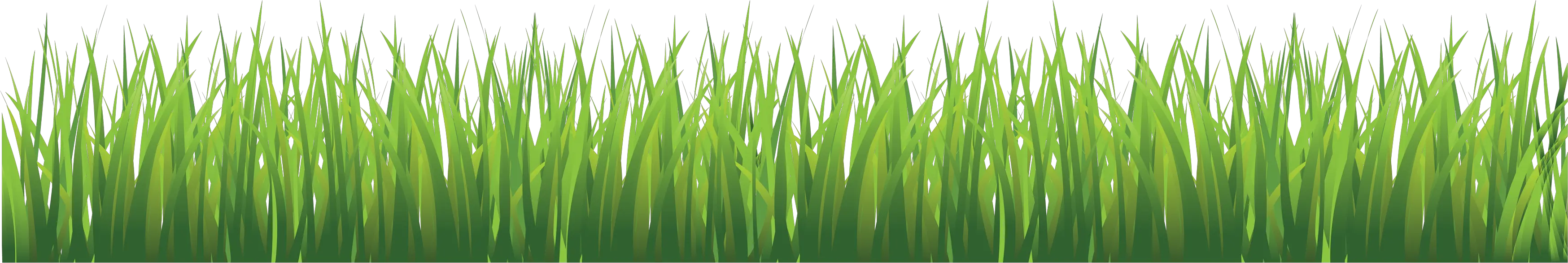 grass png image green grass PNG picture