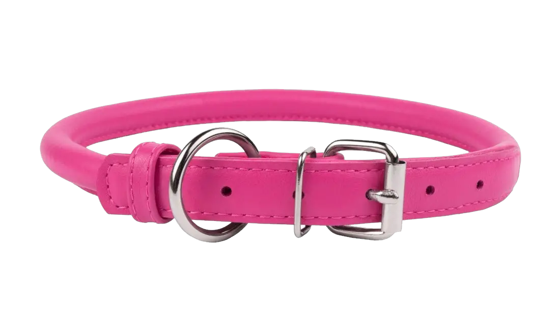 Dog collar PNG