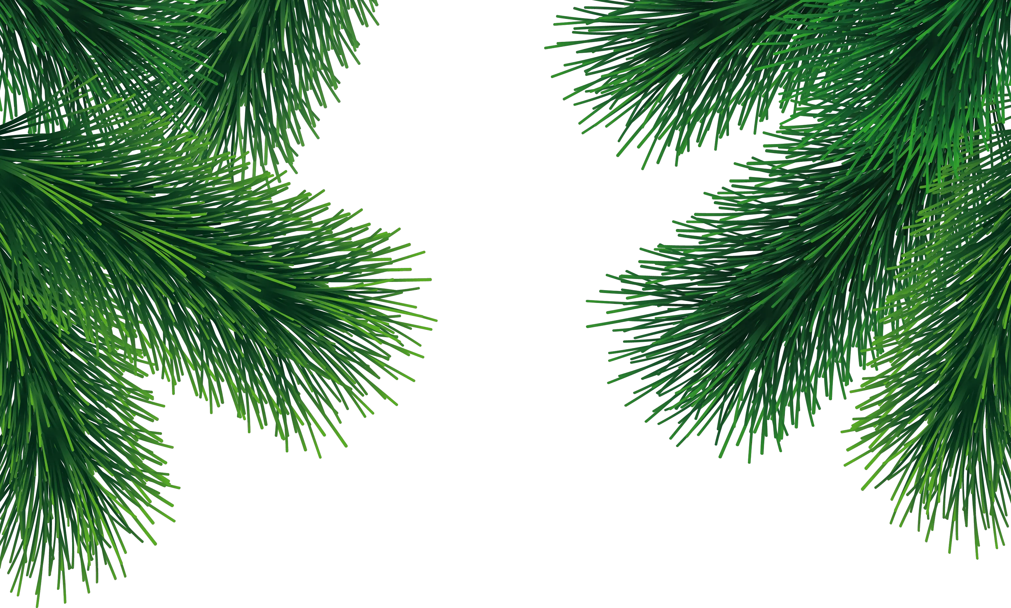 Fir-tree PNG image