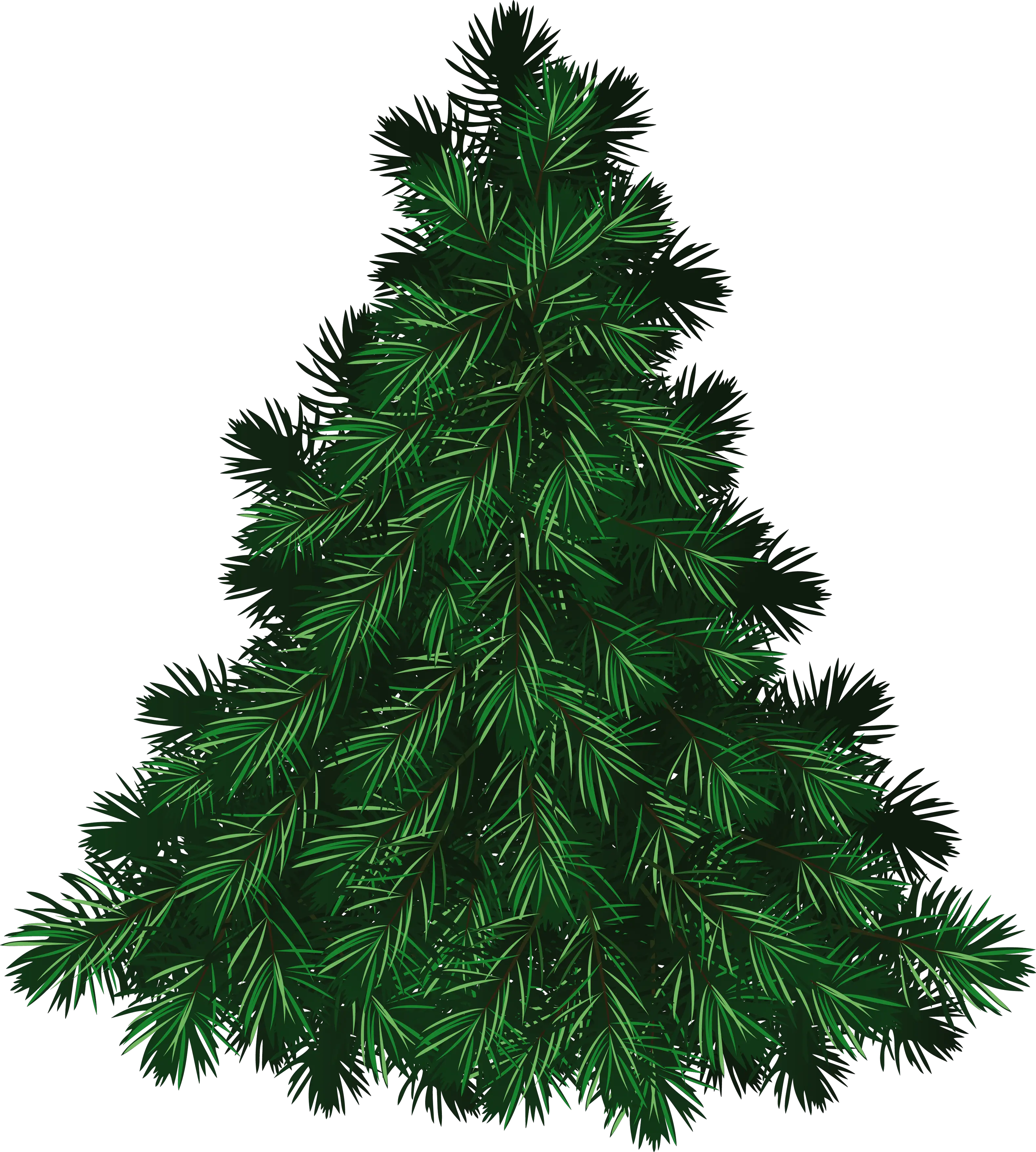 green Fir-tree PNG image