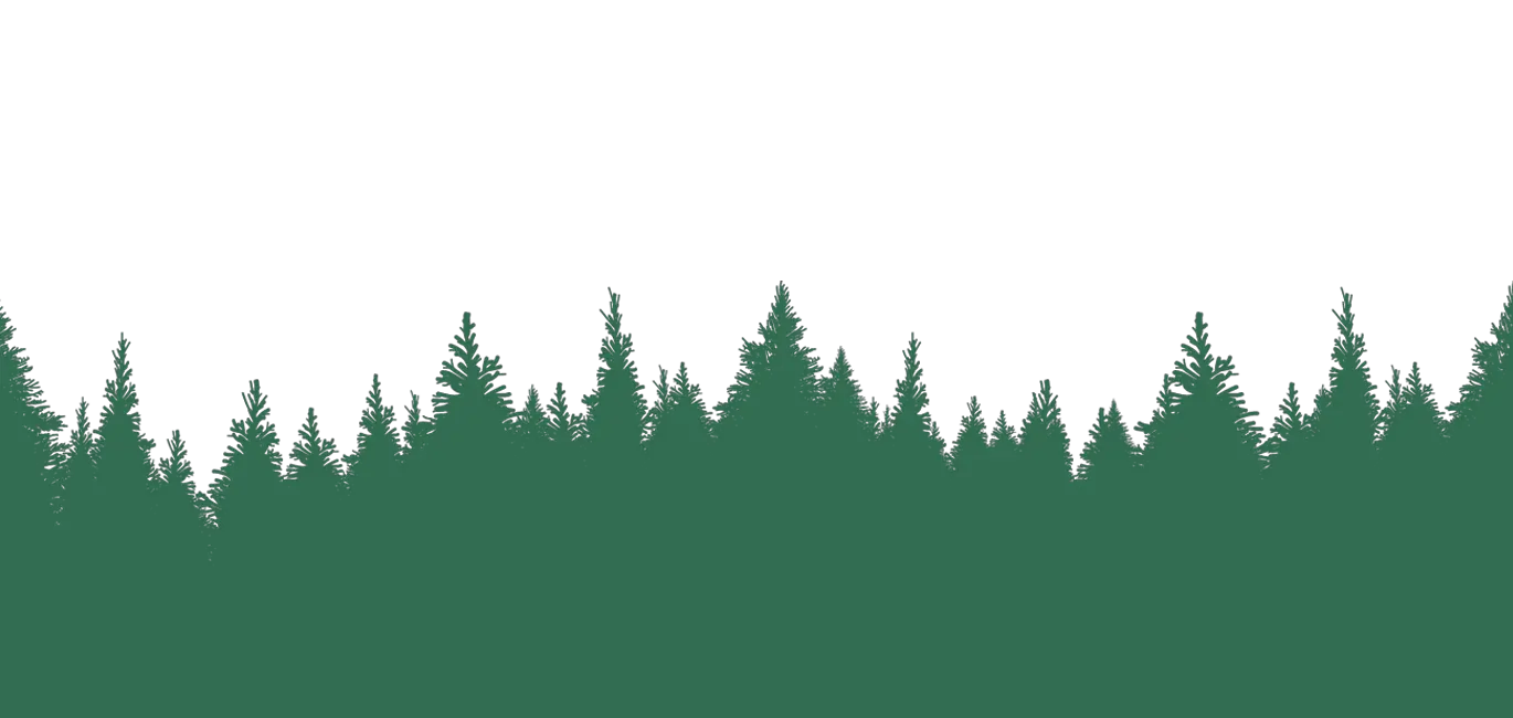 Forest PNG