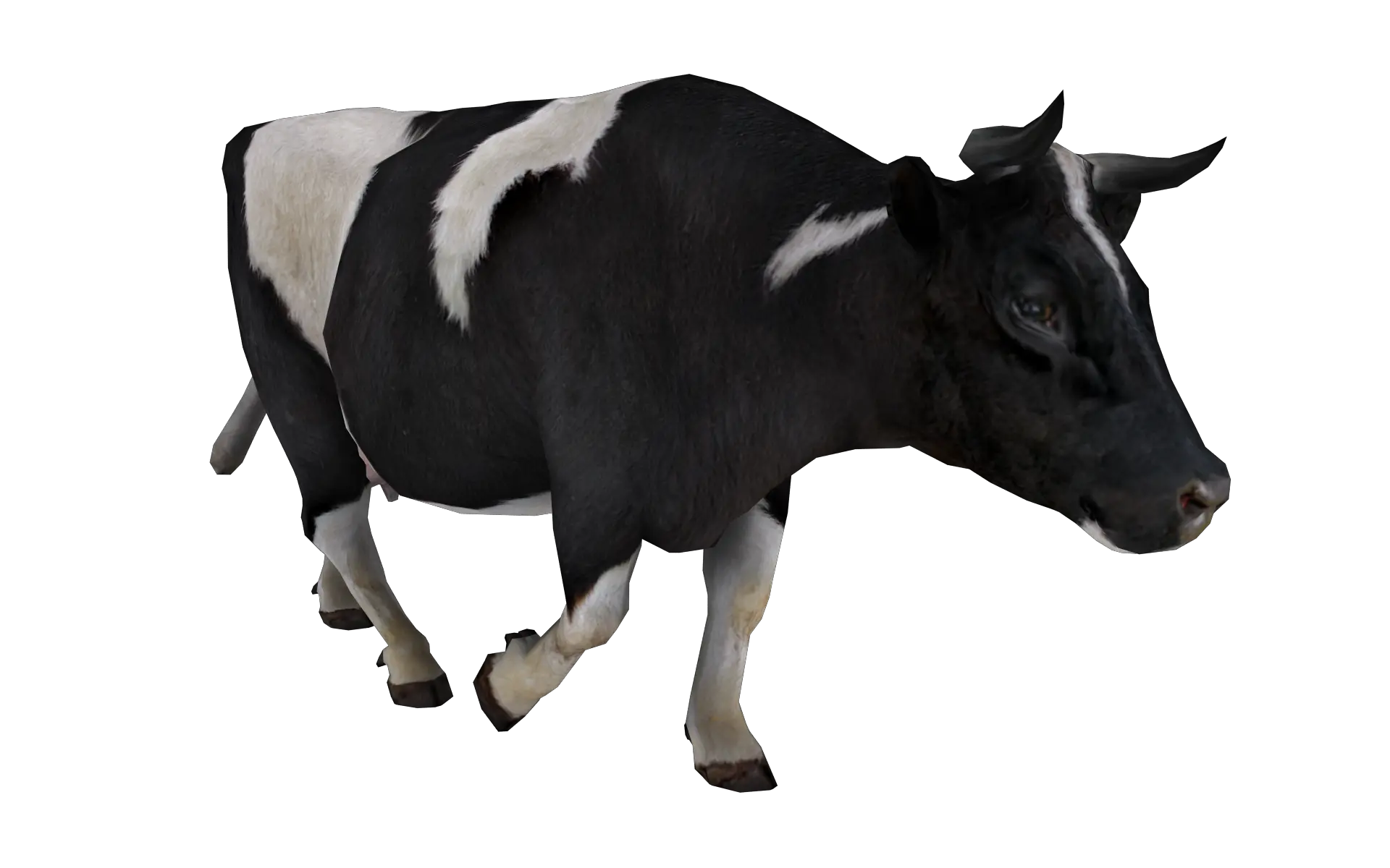 cow PNG