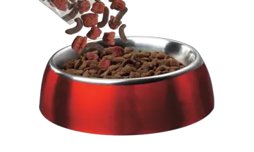 Dog food PNG