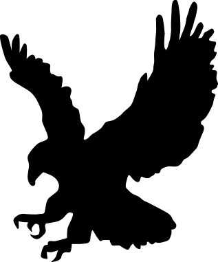 Eagle black siluet PNG image free download