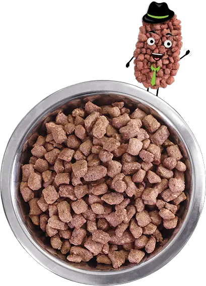 Dog food PNG