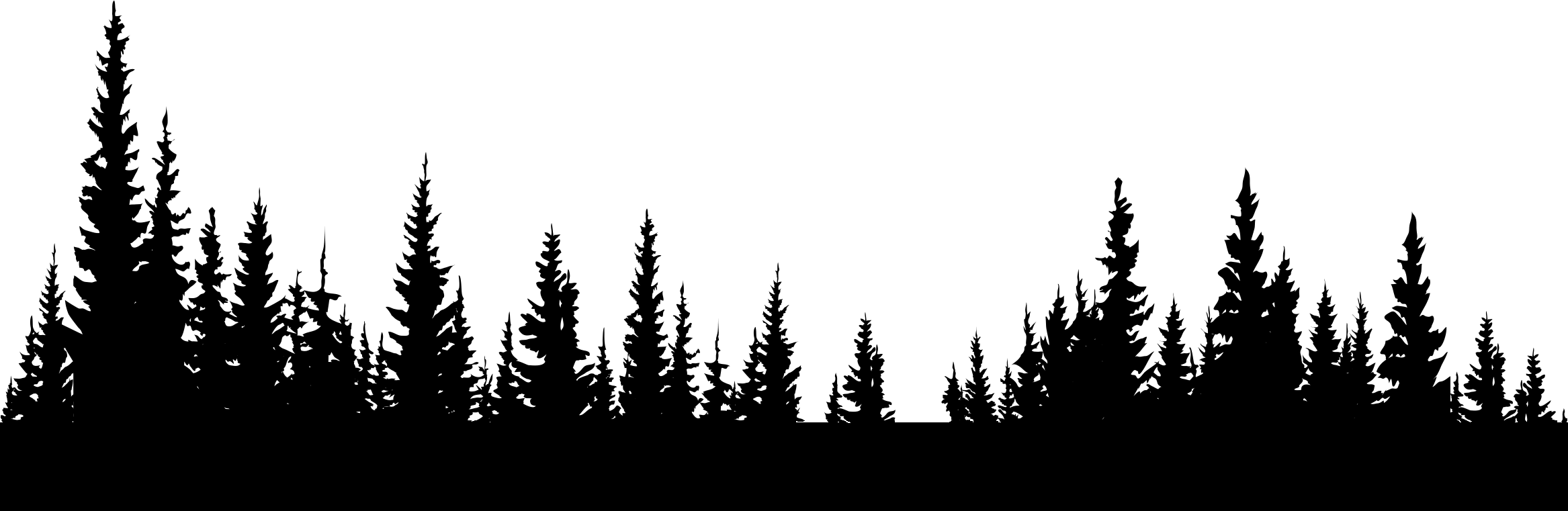 Forest PNG