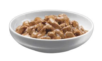 Dog food PNG