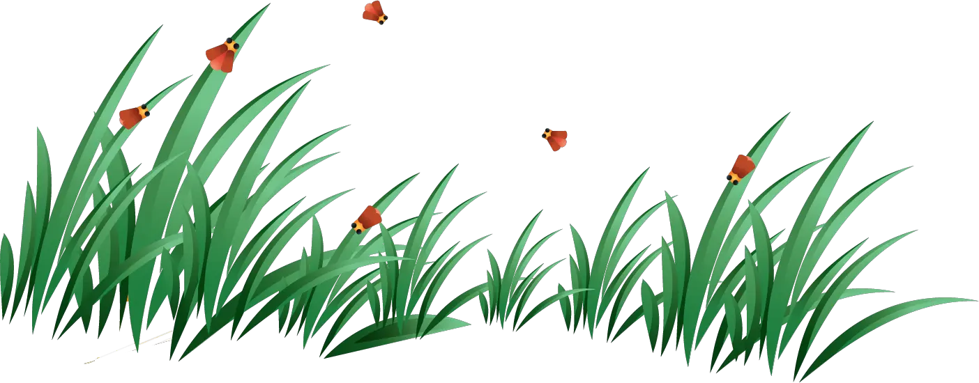 grass png image green grass PNG picture