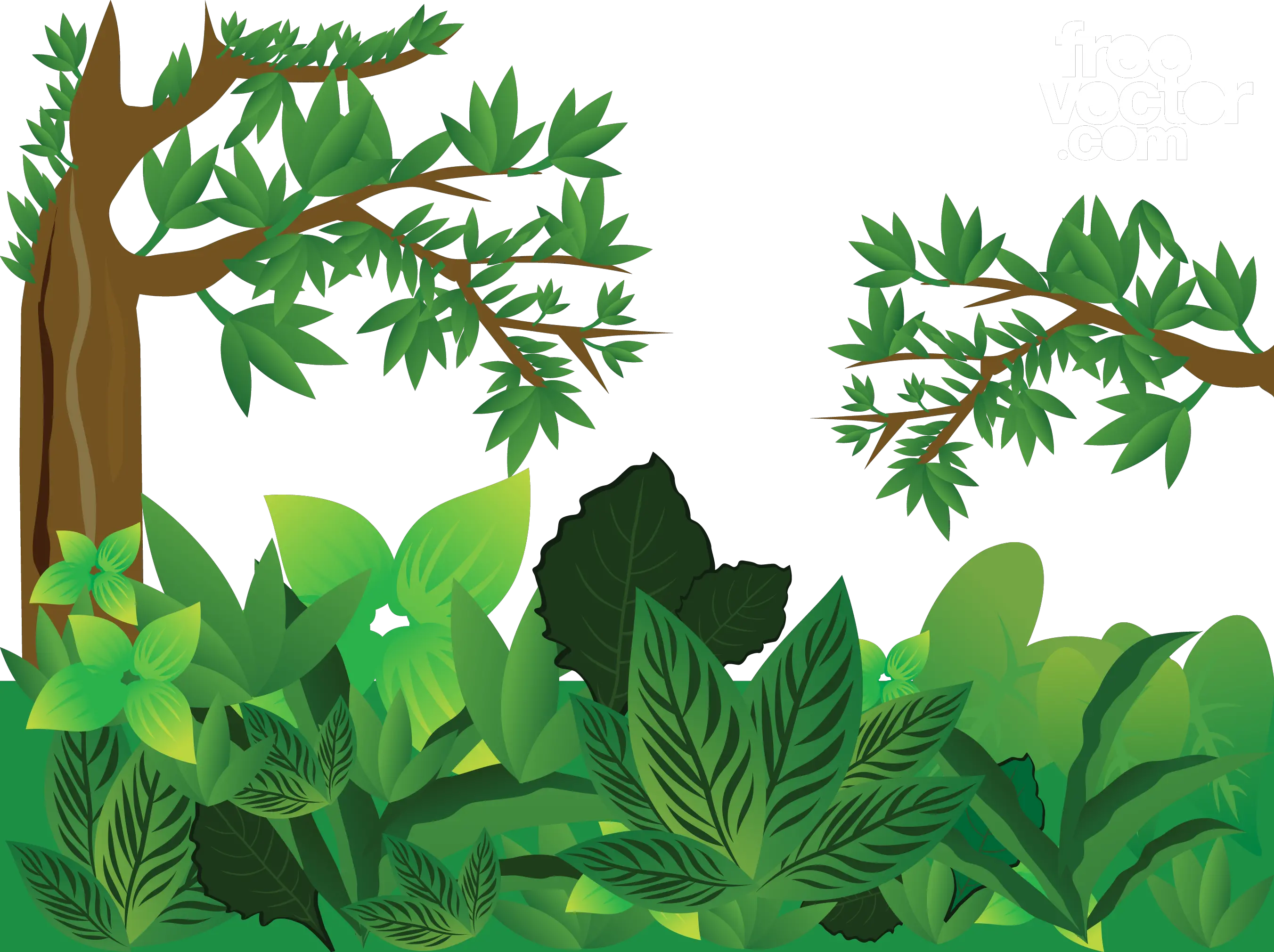 Jungle PNG