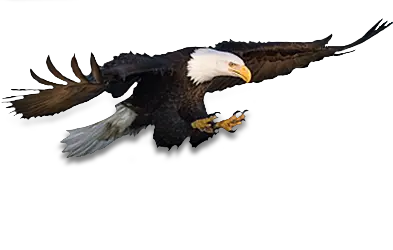 Eagle PNG image free download