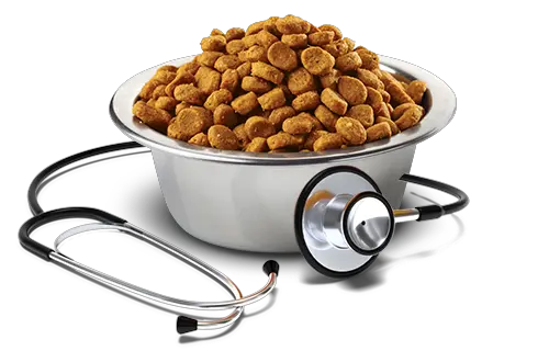 Dog food PNG