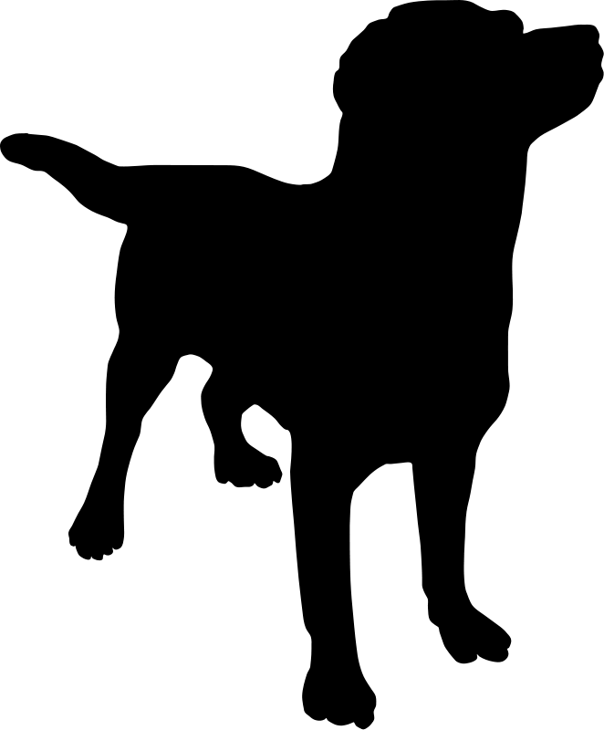 dog png image picture download dogs