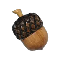 Acorn PNG image