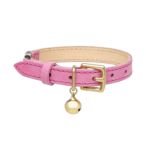 Dog collar PNG