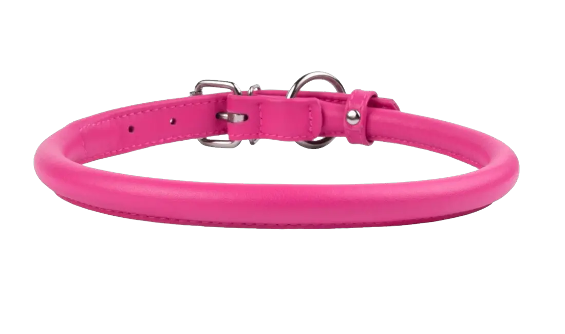 Dog collar PNG