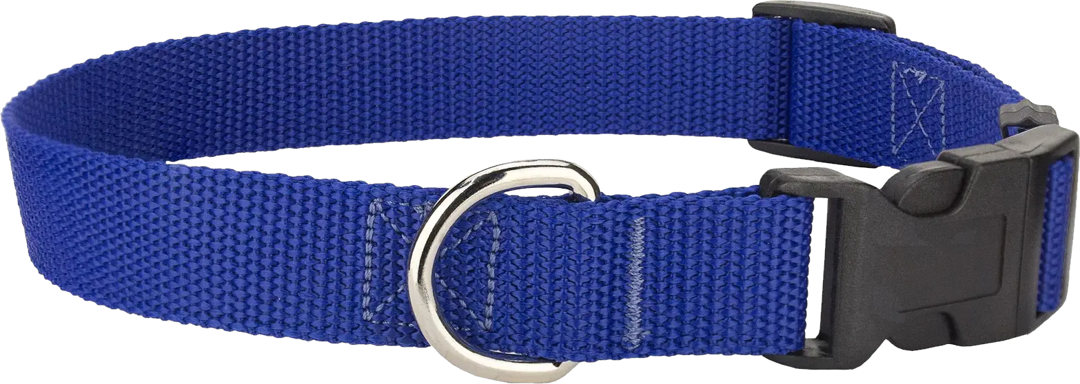 Dog collar PNG