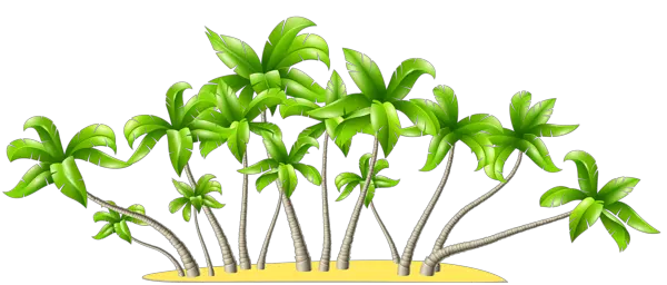 Beach PNG