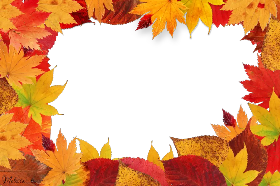 autumn leaves frame PNG leaf