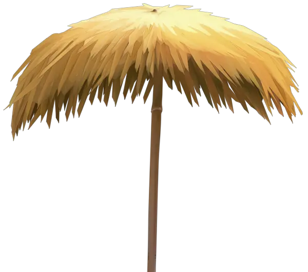 Beach umbrella PNG