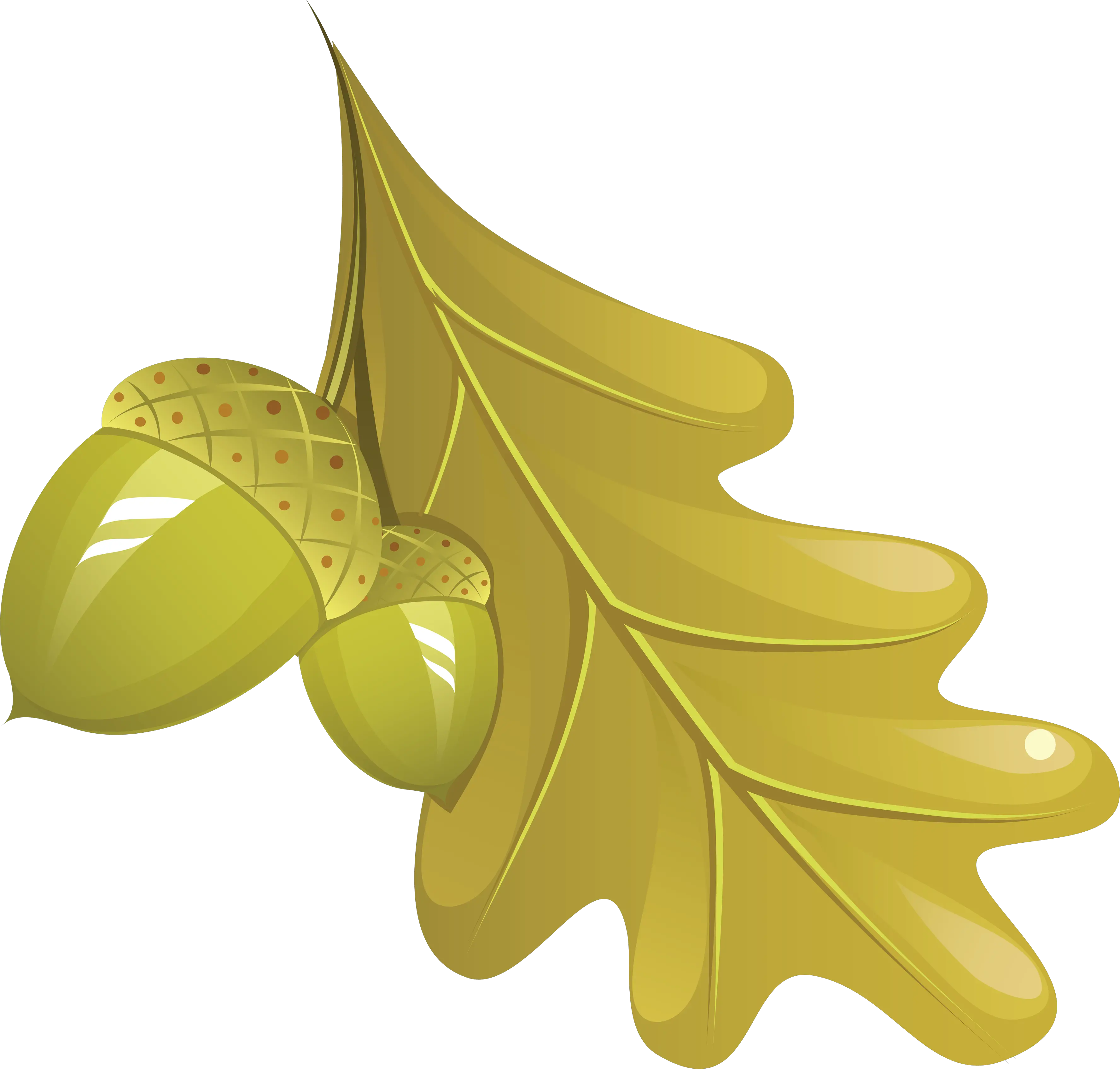 autumn PNG leaf